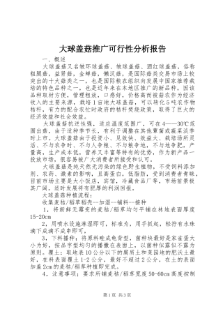 大球盖菇推广可行性分析报告