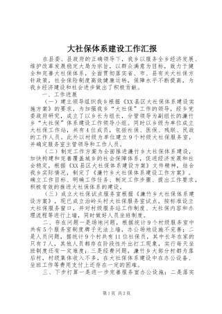 大社保体系建设工作汇报