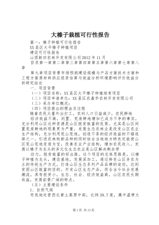 大榛子栽植可行性报告