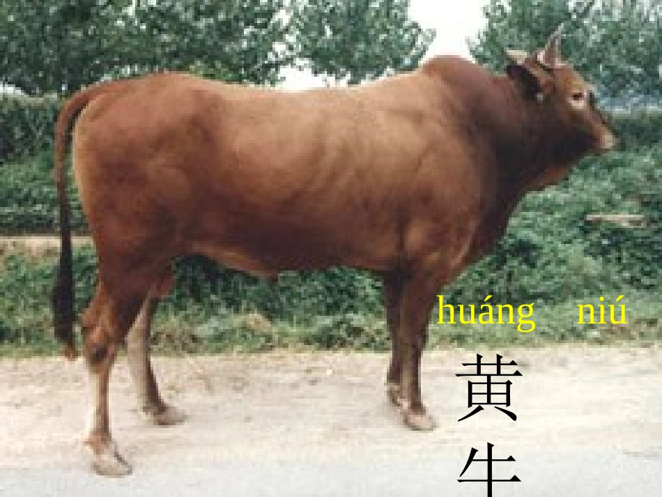 比一比第一课时MicrosoftPowerPoint_第3页