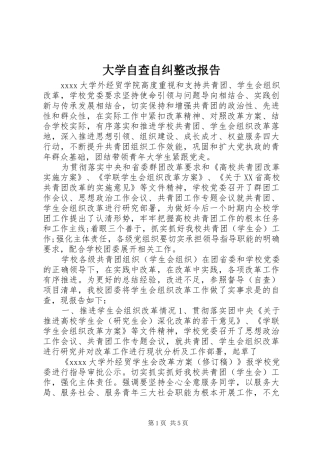 大学自查自纠整改报告