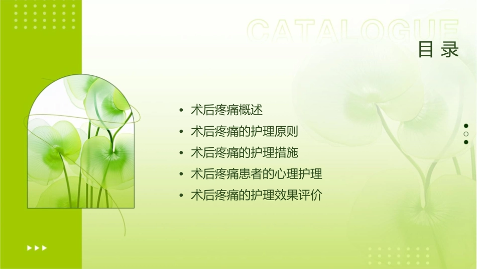 术后疼痛查房护理课件_第2页