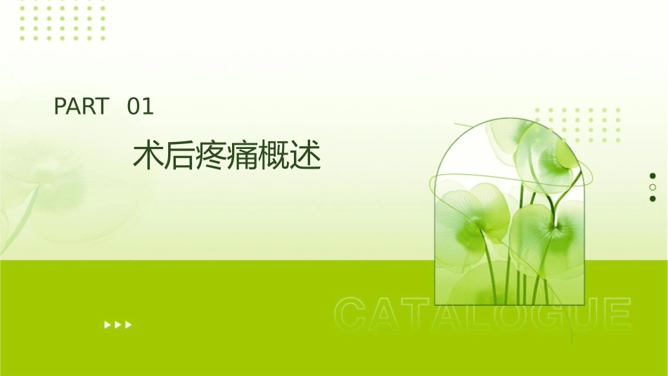 术后疼痛查房护理课件_第3页
