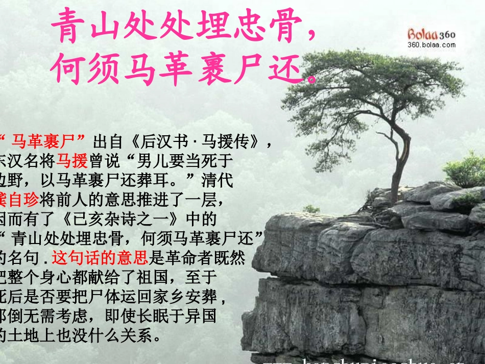 青山处处埋忠骨PPT_第3页