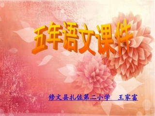 青山处处埋忠骨PPT