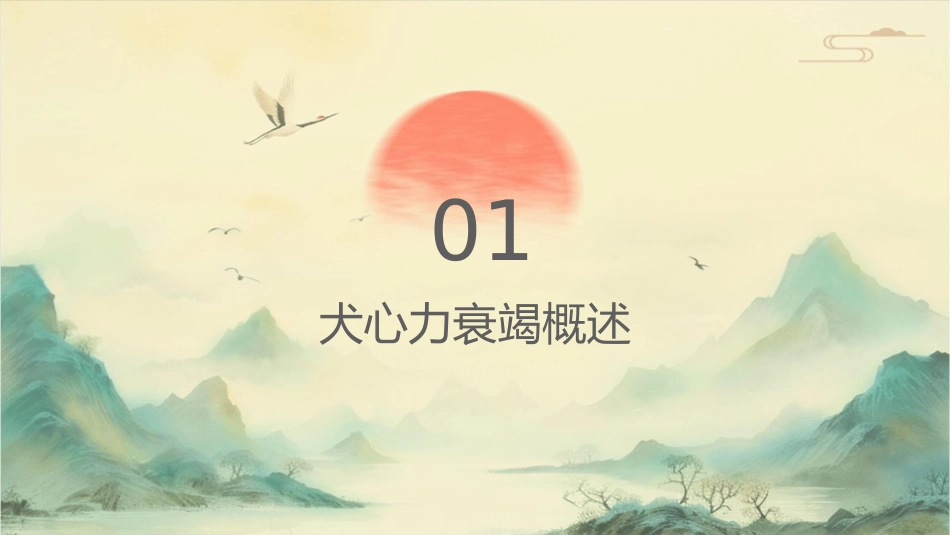 犬的心力衰竭课件_第3页