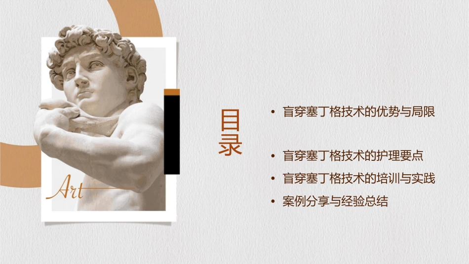 盲穿塞丁格技术护理课件_第2页