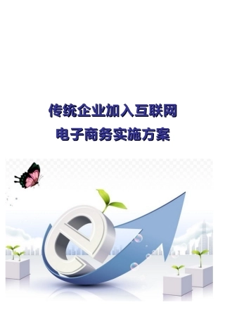 传统企业加入互联网——电子商务实施方案