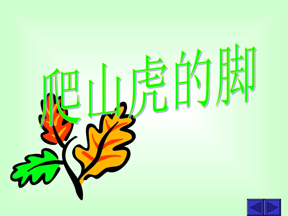 《爬山虎》课件_第1页