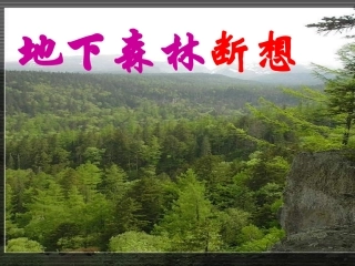 地下森林断想