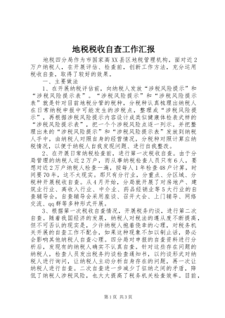 地税税收自查工作汇报