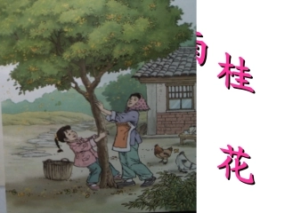 桂花雨课件 (2)