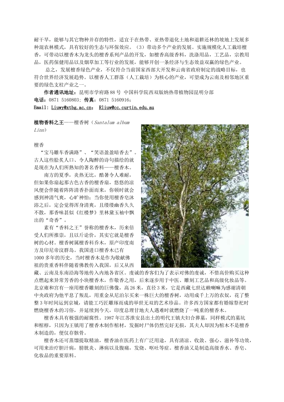 檀香木在西部大开发中的产业化应用前景_第2页