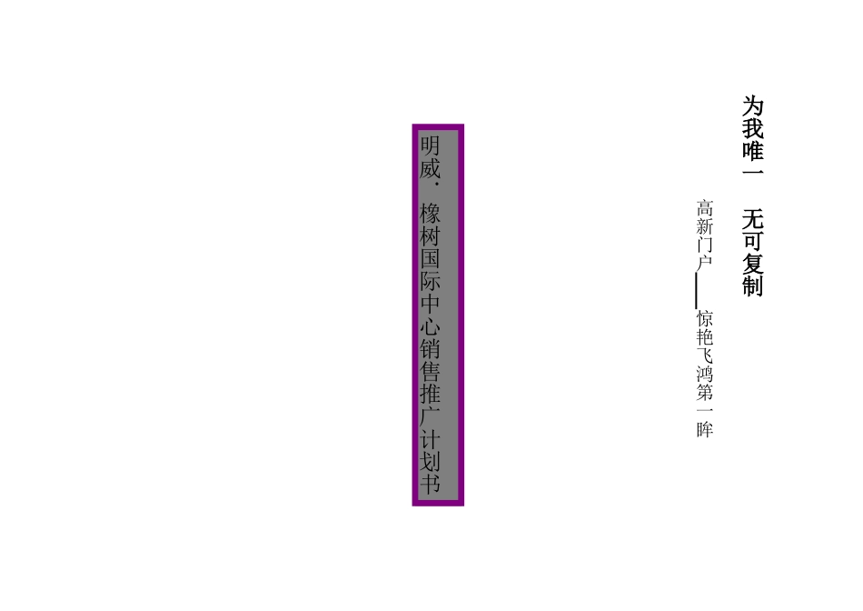 橡树国际商务中心销售推广计划书_第1页