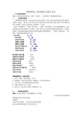 梳理探究：新词新语与流行文化