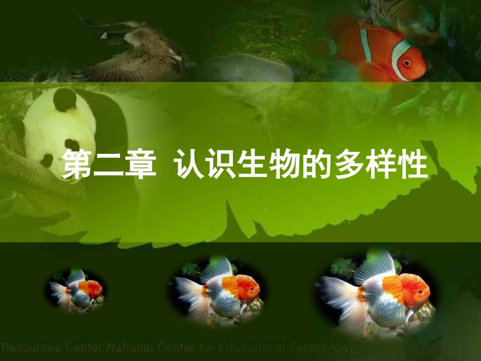认识生物的多样性_PPT课件_(1)_第1页
