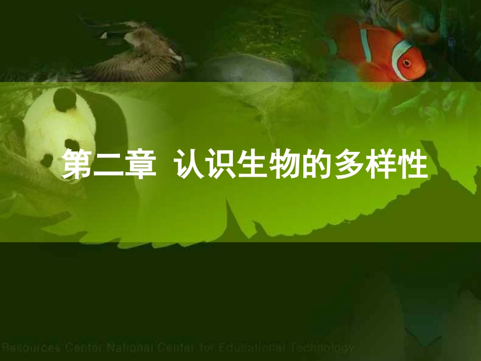 认识生物的多样性_PPT课件_(1)_第3页