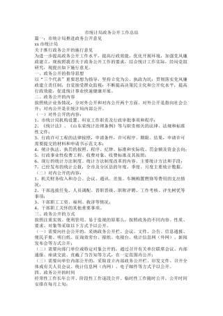 市统计局政务公开工作总结