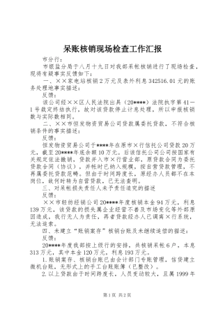 呆账核销现场检查工作汇报