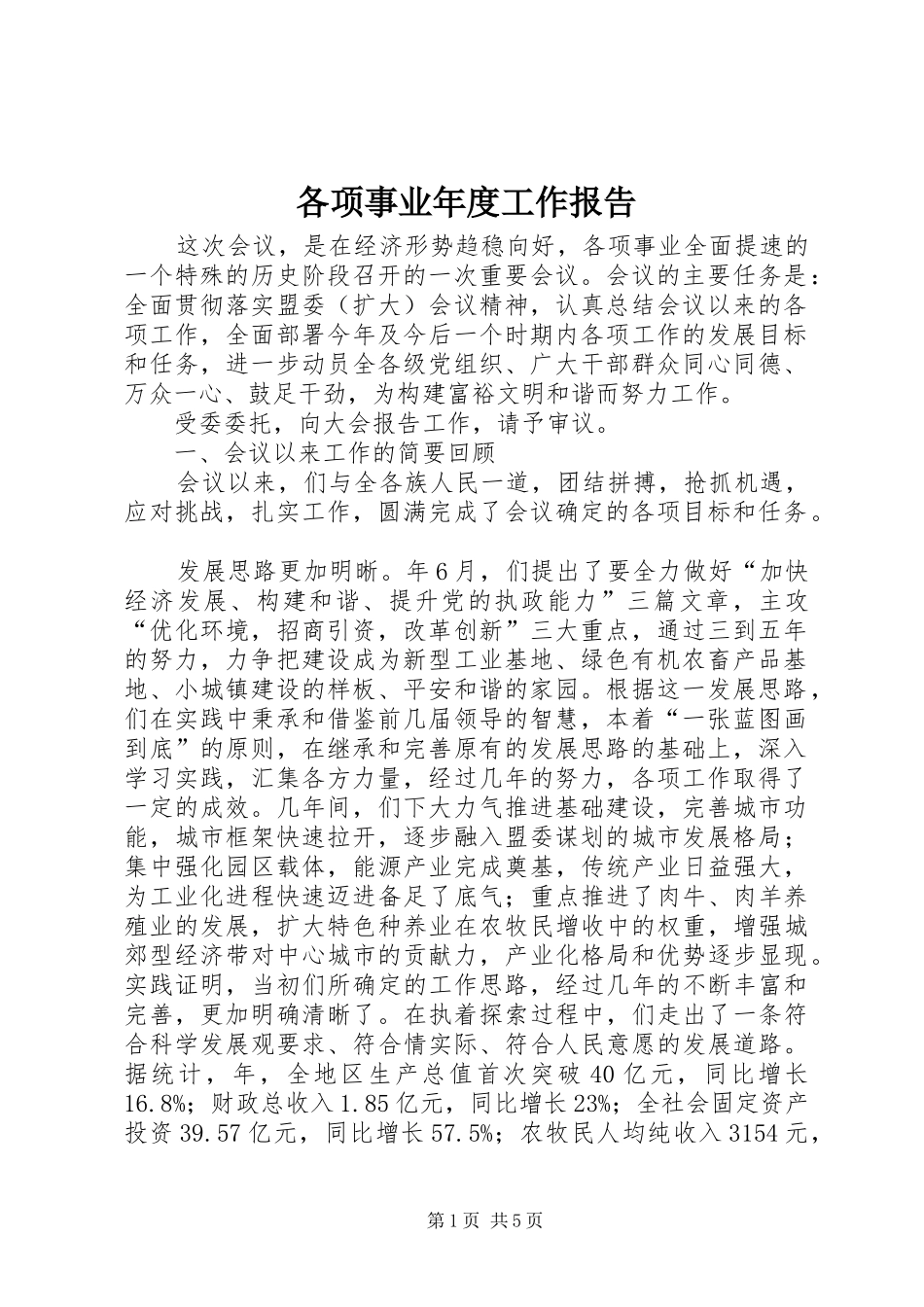 各项事业年度工作报告_第1页