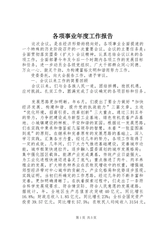 各项事业年度工作报告