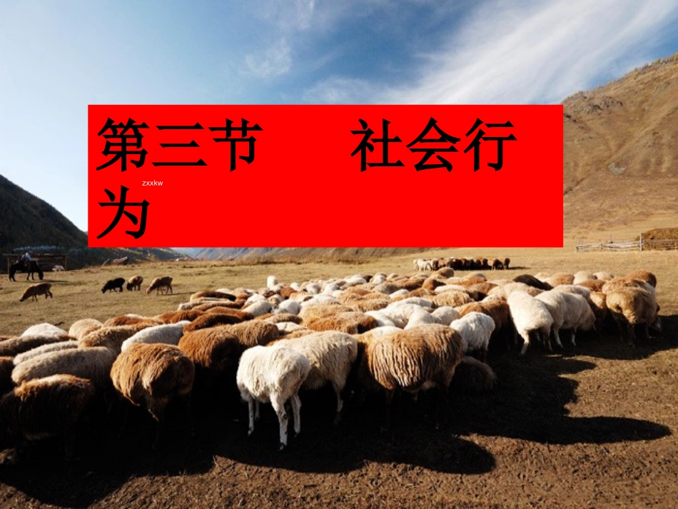 《社会行为》_第1页