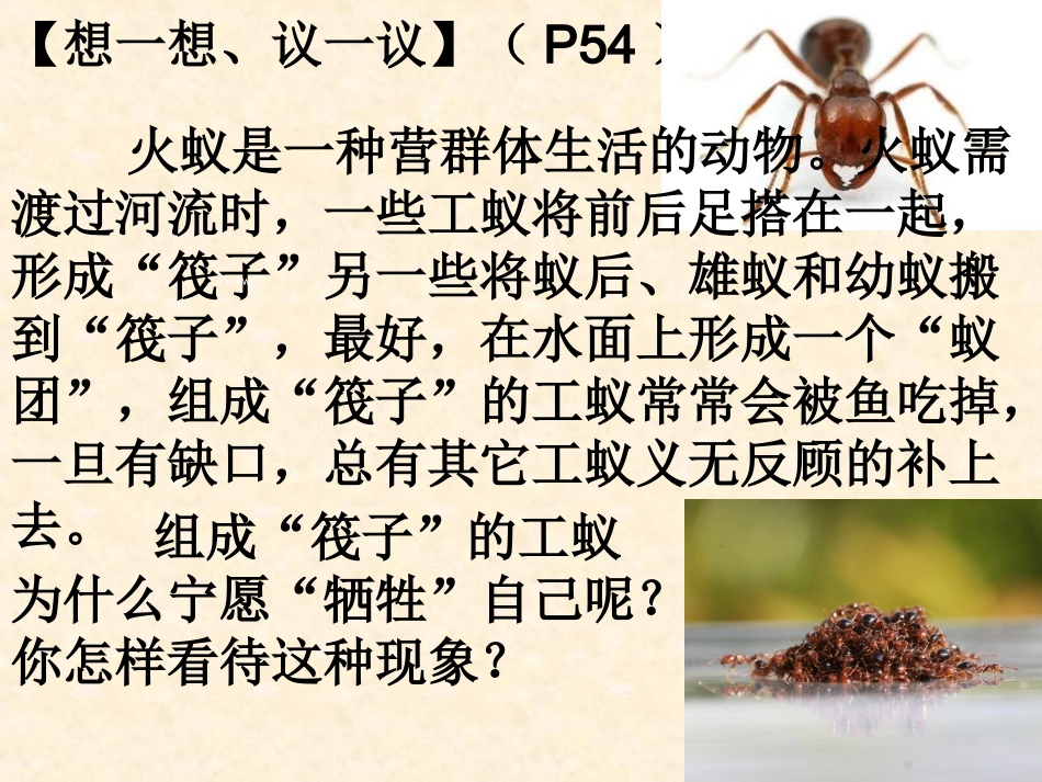 《社会行为》_第2页