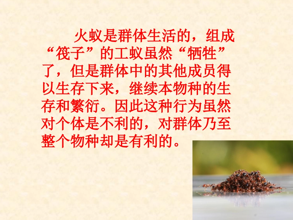 《社会行为》_第3页