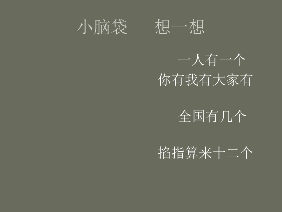 小学美术课件-十二生肖_第1页