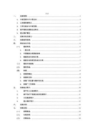 暑期社会实践策划(王之正