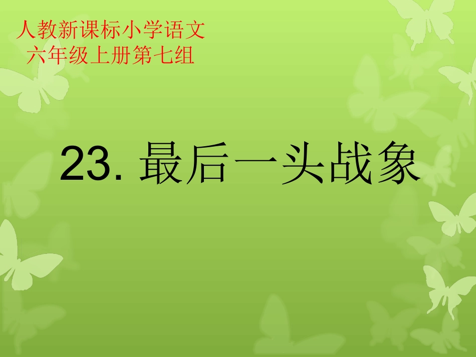 最后一头战象 (4)_第1页