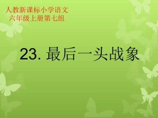 最后一头战象 (4)