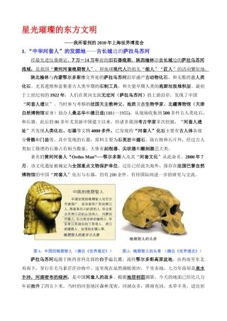 星光璀璨的东方文明---我看到的2010上海世博会