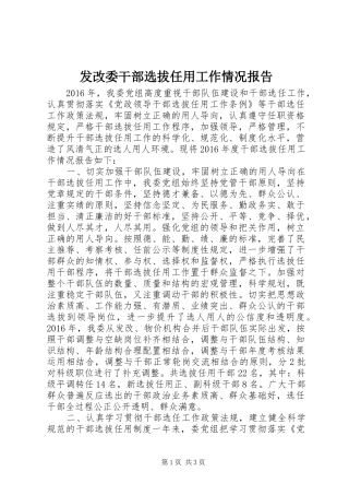 发改委干部选拔任用工作情况报告
