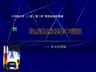 构成物质的基本微粒(3)