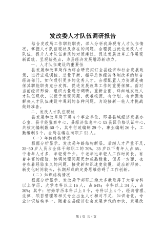 发改委人才队伍调研报告