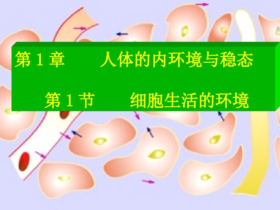 生物：11《细胞生活的环境》课件（新人教必修3）_第2页