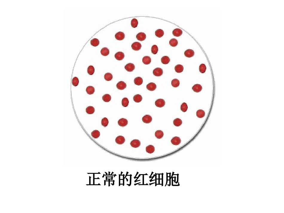 模拟血型鉴定_第2页