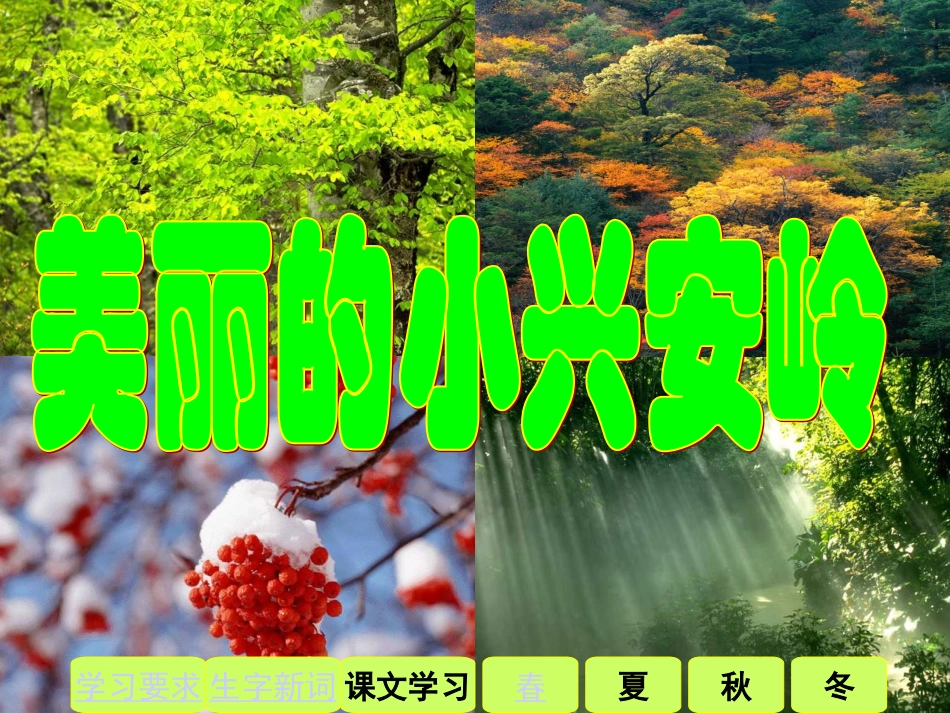 （人教版）三年级语文上册课件美丽的小兴安岭4_第3页