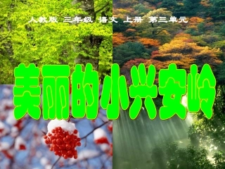 （人教版）三年级语文上册课件美丽的小兴安岭4