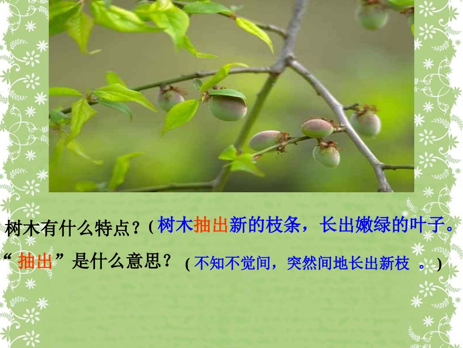 《美丽的小兴安岭》PPT课件(西师大版小学语文三年级下册课件)_第3页