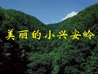 《美丽的小兴安岭》PPT课件(西师大版小学语文三年级下册课件)