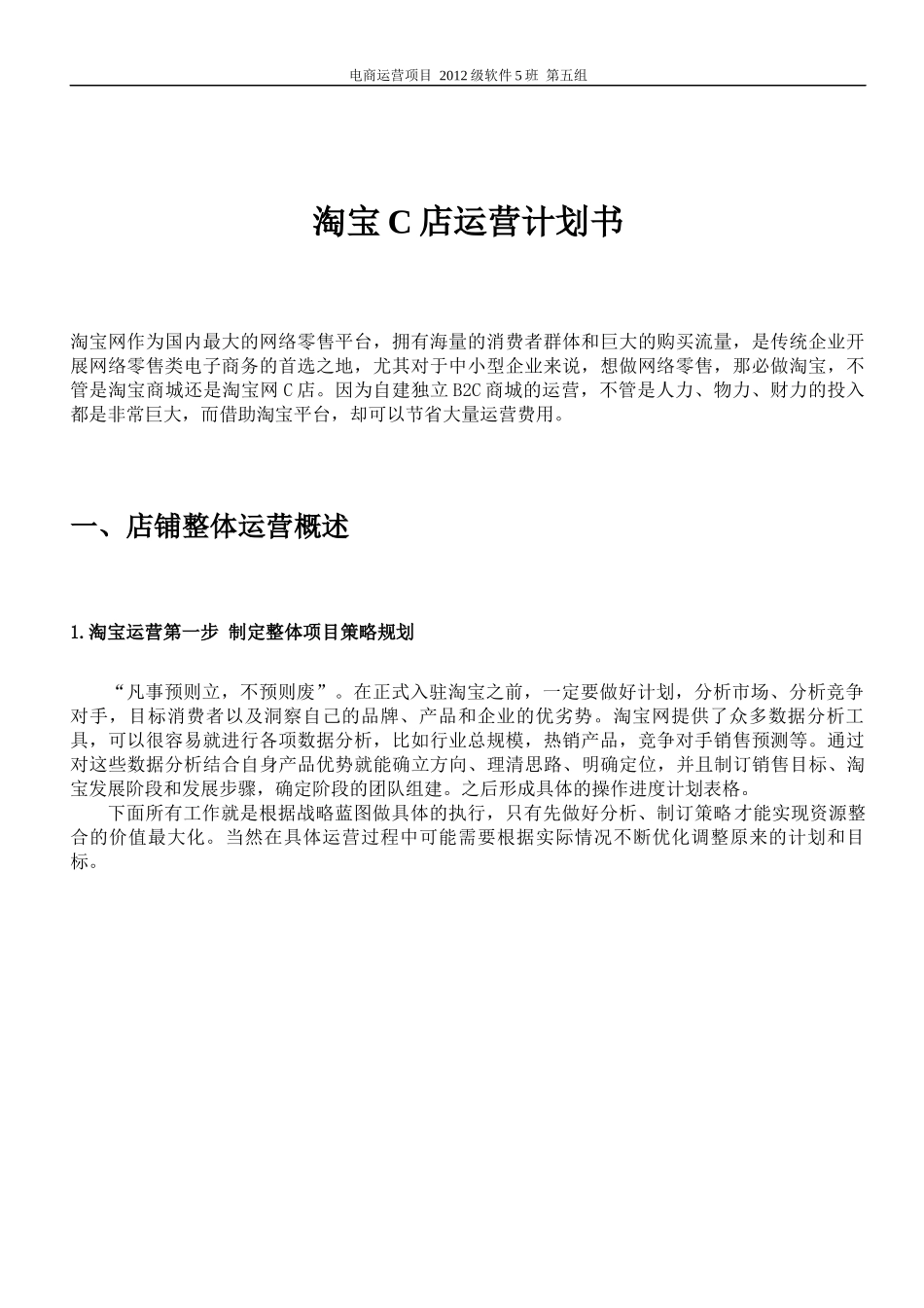 电商运营计划书_第3页