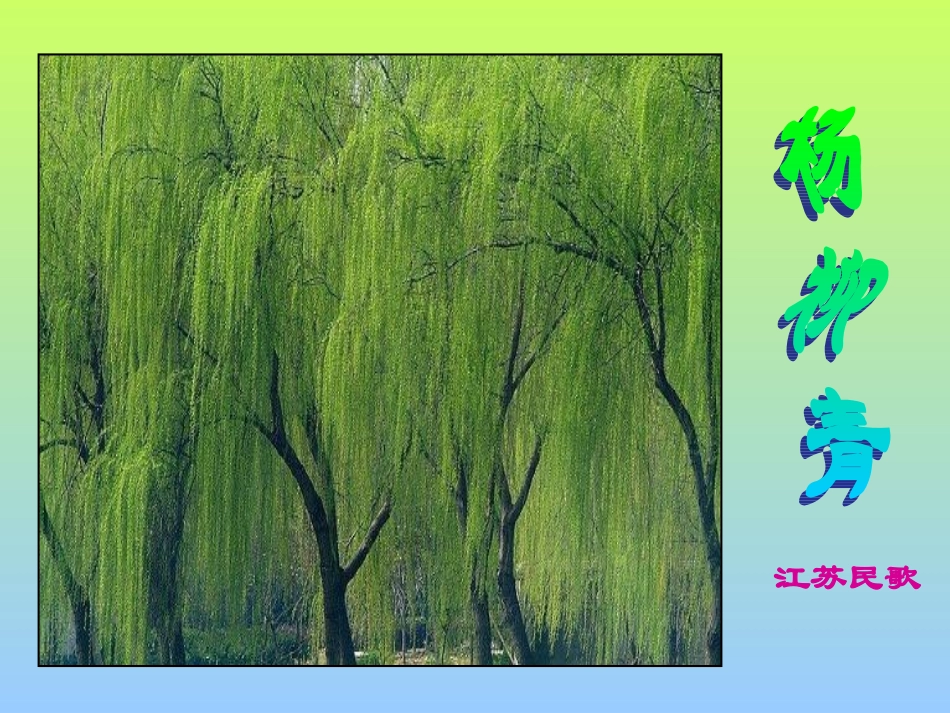 《杨柳青》PPT_第2页