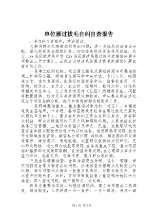 单位雁过拔毛自纠自查报告