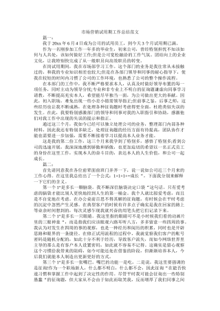 市场营销试用期工作总结范文