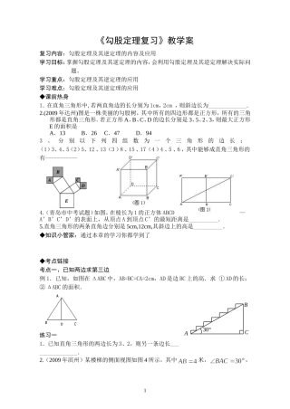 《勾股定理复习》教学案