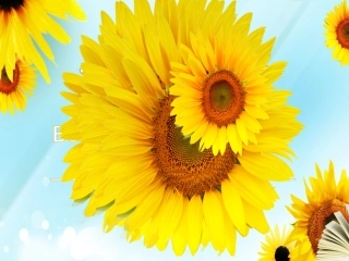 《富饶的西沙群岛》课件1