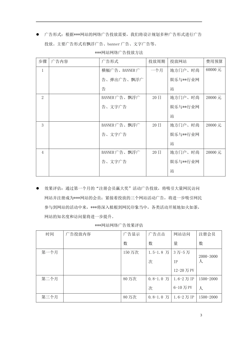 5000字的网站推广方案_第3页