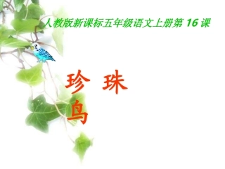 《珍珠鸟》教学课件